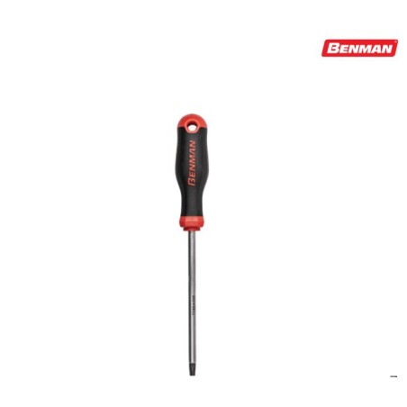 Cacciavite Ergo Grip Torx forato varie misure