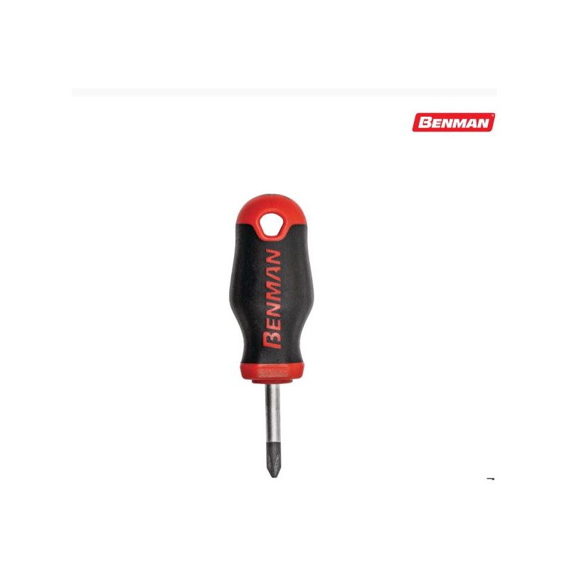 Cacciavite Ergo Grip Nano a croce e piatto